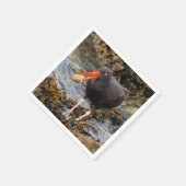 Verbluffende zwarte Oystercatcher met Clam Servet (Hoek)