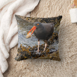 Verbluffende zwarte oystercatcher Shorebird met Cl Kussen