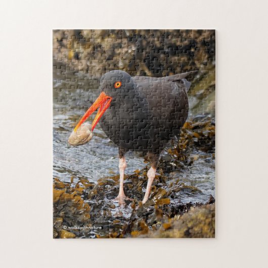 Verbluffende zwarte oystercatcher Shorebird met Cl Legpuzzel (Verticaal)