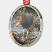 Verbluffende zwarte oystercatcher Shorebird met Cl Metalen Ornament (Links)