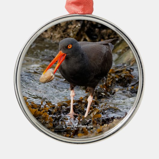 Verbluffende zwarte oystercatcher Shorebird met Cl Metalen Ornament (Voorkant)