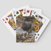 Verbluffende zwarte oystercatcher Shorebird met Cl Pokerkaarten (Achterkant)