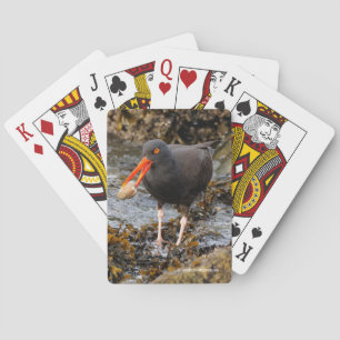 Verbluffende zwarte oystercatcher Shorebird met Cl Pokerkaarten