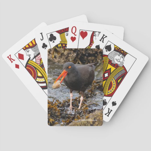 Verbluffende zwarte oystercatcher Shorebird met Cl Pokerkaarten (Achterkant)