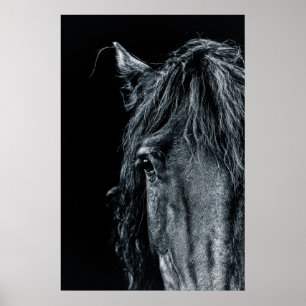 Verbluffende zwarte paardenportret poster