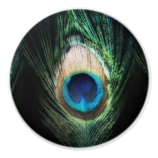 Verbluffende zwarte pacock keramische knop (Voorkant)