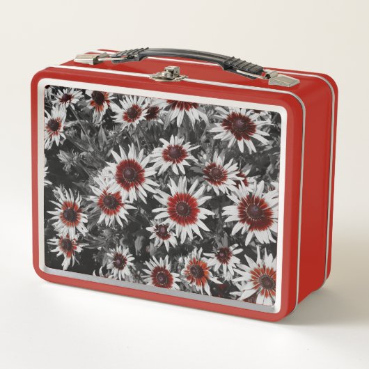 Verbluffende zwartogige Susans (Voorkant)