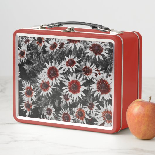 Verbluffende zwartogige Susans (In situ)