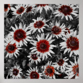 Verbluffende zwartogige Susans Poster (Voorkant)