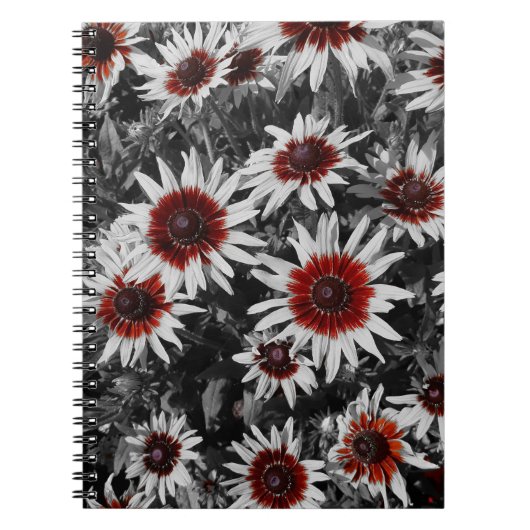 Verbluffende zwartogige Susans Spiral Notitieboek (Voorkant)