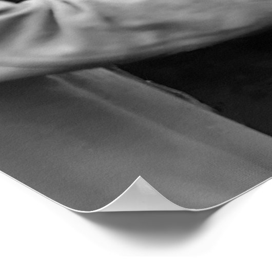 Verbod, Bier, Zwart-wit, Poster (Hoek)