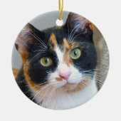 Verbod op het Calico Cat Ceramic Ornament (Voorkant)
