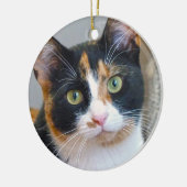 Verbod op het Calico Cat Ceramic Ornament (Links)