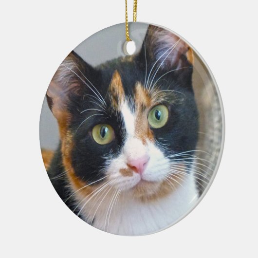 Verbod op het Calico Cat Ceramic Ornament (Links)