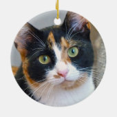 Verbod op het Calico Cat Ceramic Ornament (Achterkant)