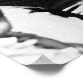 VERBOD - VETERINAIRS WIL WEER POSTER (Hoek)