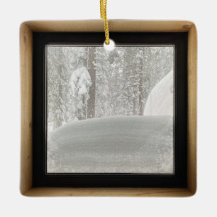 Verboden in de Folks. Keramisch Ornament
