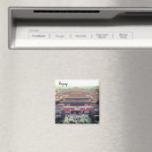 verboden stad peking magneet (Insitu (Vaatwasser))