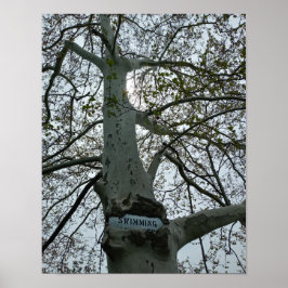 Verbodsbord om te zwemmen in een boom poster