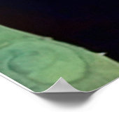 Verbonden 1 poster (Hoek)