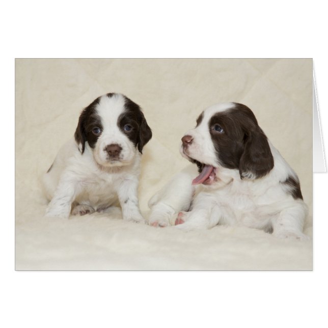 Verbonden puppies kaart (Voorkant Horizontaal)