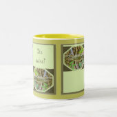 Verbonden Tussock Moth Het is Twins New Baby Mok (Center)