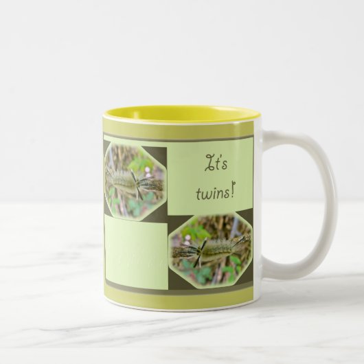 Verbonden Tussock Moth Het is Twins New Baby Mok (Rechts)