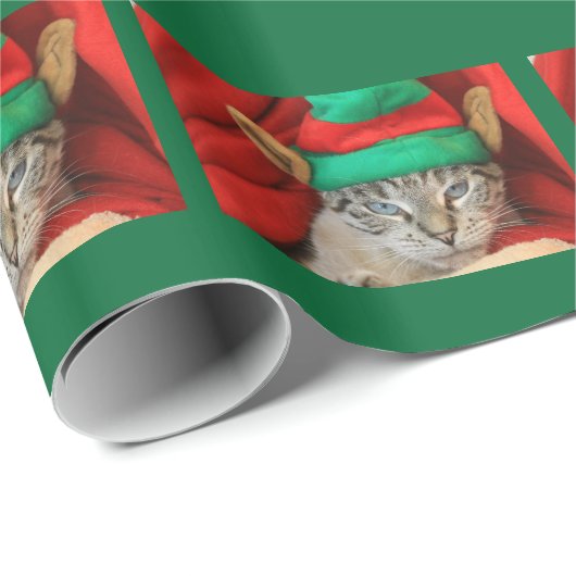 Verboren kat in Elf-Pet Cadeaupapier (Rol Hoek)