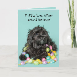 Verborg de kaart van Pasen van de Hond van het een