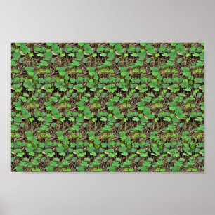 Verborgen 3D-afdrukken in Shamrock Poster