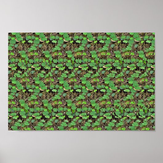 Verborgen 3D-afdrukken in Shamrock Poster (Voorkant)