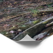 Verborgen Bos Waterval Poster (Hoek)