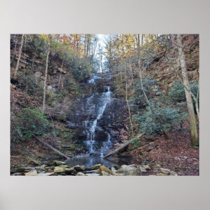 Verborgen Bos Waterval Poster