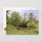 Verborgen Briefkaart Pond Photo (Voorkant / Achterkant)