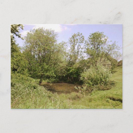 Verborgen Briefkaart Pond Photo (Voorkant)