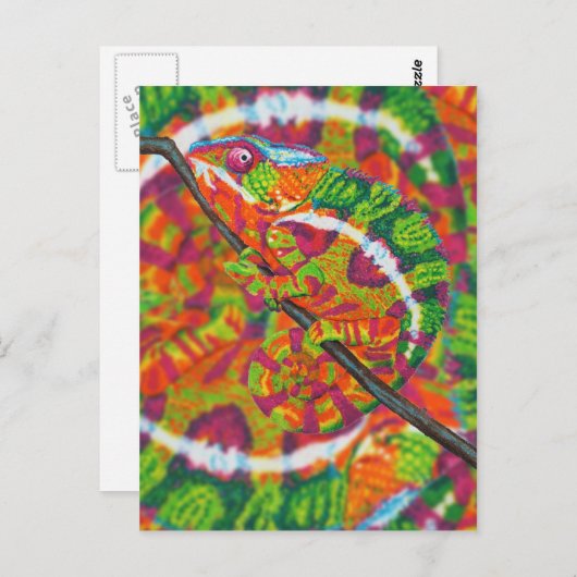 Verborgen Chameleon Briefkaart (Voorkant / Achterkant)