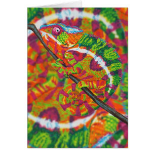 Verborgen Chameleon-kaart