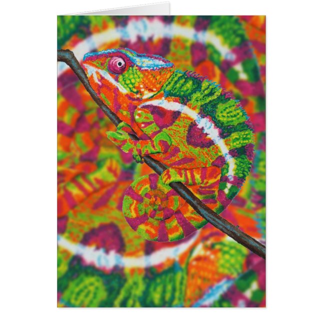 Verborgen Chameleon-kaart (Voorkant)