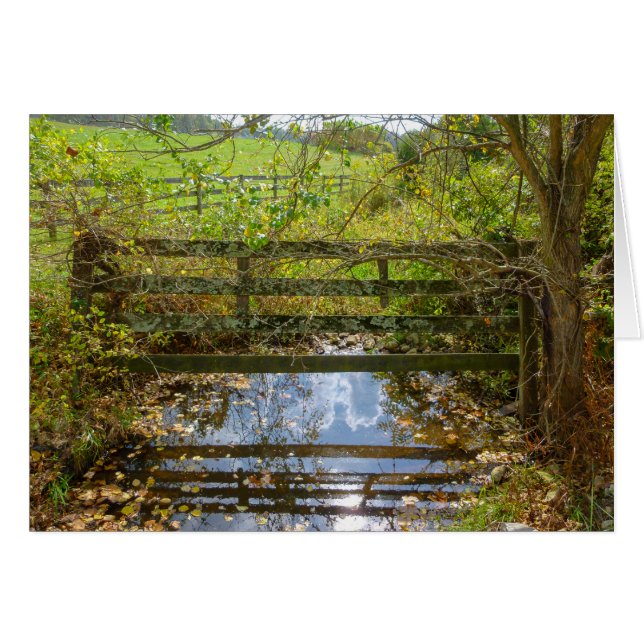 Verborgen Creek (Voorkant Horizontaal)