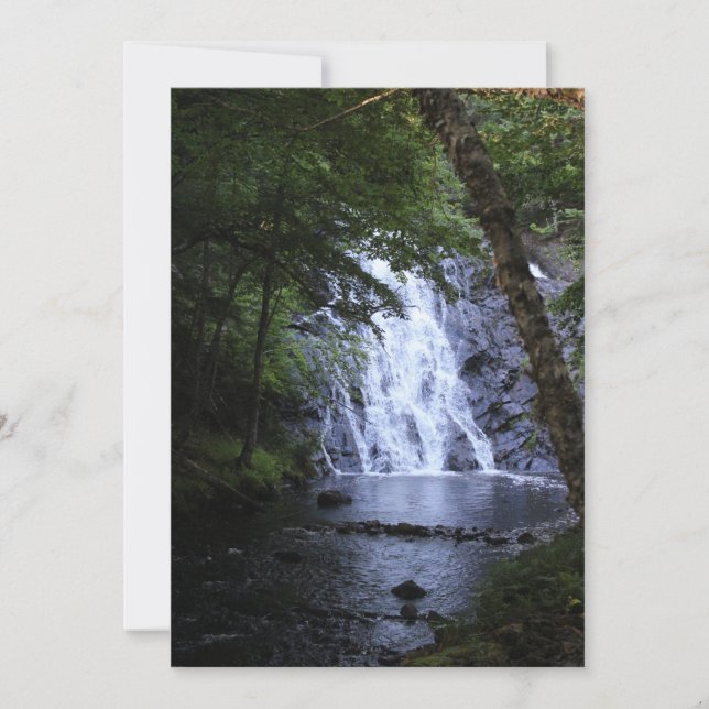 Verborgen door de Bomen (Voorkant)