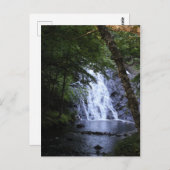 Verborgen door de bomen briefkaart (Voorkant / Achterkant)