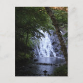 Verborgen door de bomen briefkaart (Voorkant)