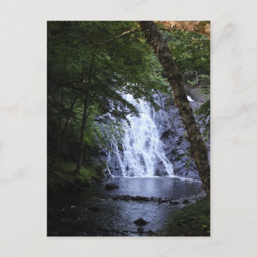 Verborgen door de bomen briefkaart (Voorkant)