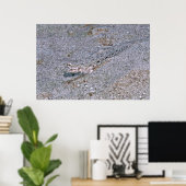 Verborgen Dragonete Poster (Thuiskantoor)