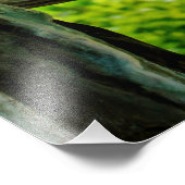 "Verborgen gateway" Foto Afdruk (Hoek)