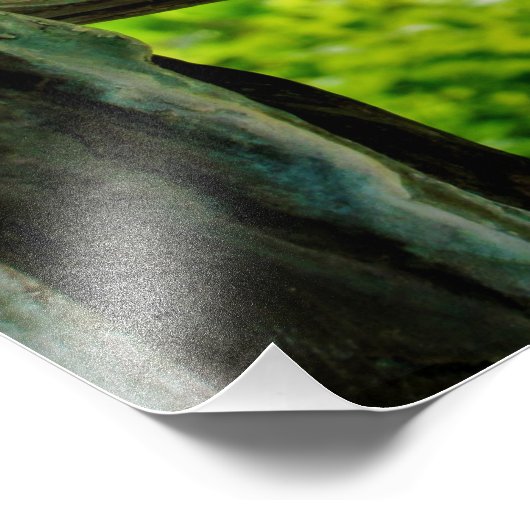 "Verborgen gateway" Foto Afdruk (Hoek)