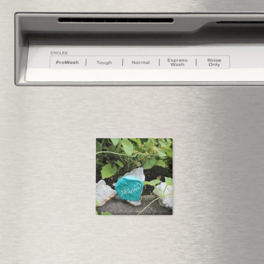 Verborgen gesteente in een tuin magneet (Insitu (Vaatwasser))