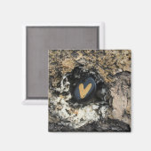 Verborgen Heart Rock op Rock Magneet (Voorkant / Achterkant)
