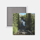 Verborgen Herfsten in het nationale park Grand Tet Magneet (Voorkant / Achterkant)