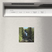 Verborgen Herfsten in het nationale park Grand Tet Magneet (Insitu (Vaatwasser))